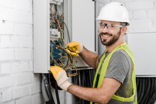 Best Ceiling Fan Installation Electrician  in Dunedin, FL