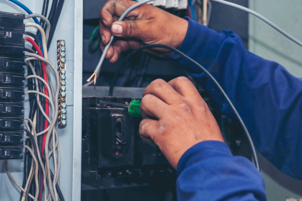 Best Electrician Near Me  in Dunedin, FL