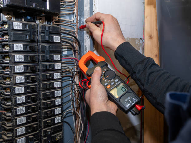Best Residential Electrician Services  in Dunedin, FL
